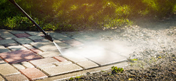 Best Animal Enclosure Cleaning  in Flemington, GA